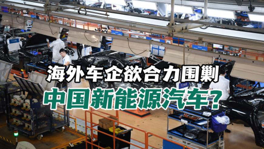 2025年全年免费资料,遛狗搭子结婚女子随礼写狗名,国产化作答解释落实_正式版V4.27
