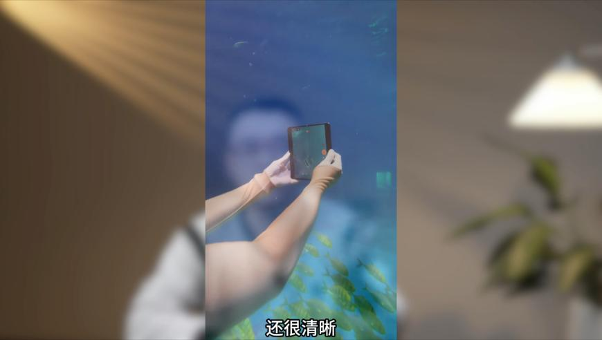 凤凰凤凰论坛高手资料,老人过年回村前83岁回村后63岁,典故解疑_工具版V14.65