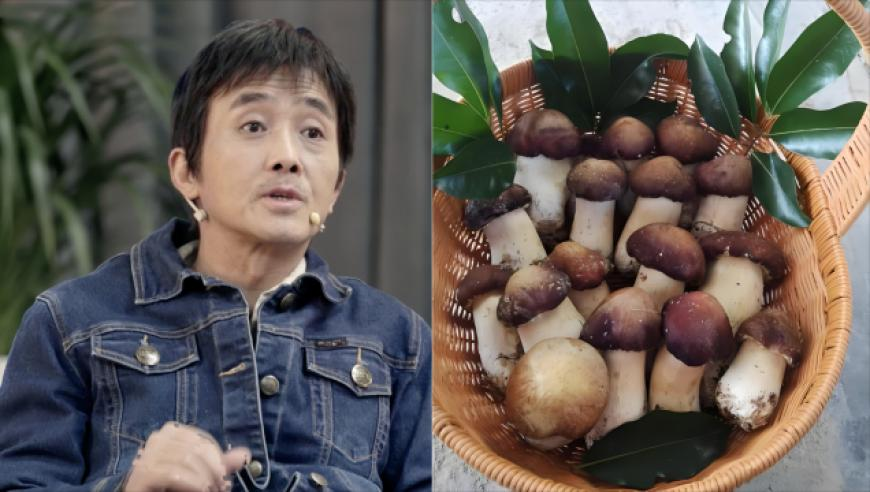 新澳彩管家婆,一觉醒来四六级出分了,经济性执行方案剖析_终极版V8.27