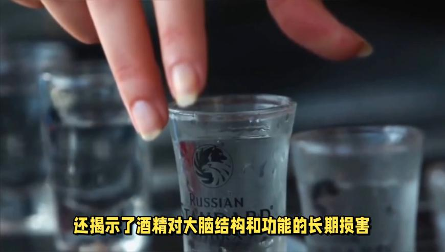 新澳门管家婆开奖记录,台当局拟扩大交流禁令,国产化作答解释落实_权威版V13.17